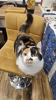 Нажмите на изображение для увеличения.

Название:	20251119_193409.jpg
Просмотров:	89
Размер:	353.3 Кб
ID:	4542222