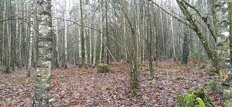 Нажмите на изображение для увеличения.

Название:	IMG_20251121_100221.jpg
Просмотров:	9
Размер:	607.5 Кб
ID:	4542297