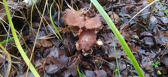 Нажмите на изображение для увеличения.

Название:	IMG_20251121_101057.jpg
Просмотров:	8
Размер:	556.7 Кб
ID:	4542298