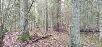 Нажмите на изображение для увеличения.

Название:	IMG_20251121_105642.jpg
Просмотров:	7
Размер:	596.5 Кб
ID:	4542299