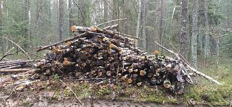 Нажмите на изображение для увеличения.

Название:	IMG_20251121_113913.jpg
Просмотров:	7
Размер:	601.8 Кб
ID:	4542300