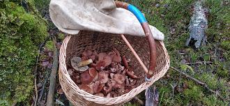 Нажмите на изображение для увеличения.

Название:	IMG_20251121_120735.jpg
Просмотров:	9
Размер:	569.9 Кб
ID:	4542301