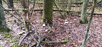 Нажмите на изображение для увеличения.

Название:	IMG_20251121_105637.jpg
Просмотров:	7
Размер:	630.4 Кб
ID:	4542302