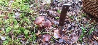 Нажмите на изображение для увеличения.

Название:	IMG_20251121_104302.jpg
Просмотров:	9
Размер:	587.8 Кб
ID:	4542303