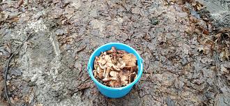 Нажмите на изображение для увеличения.

Название:	IMG_20251121_113201.jpg
Просмотров:	9
Размер:	587.4 Кб
ID:	4542304