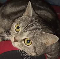 Нажмите на изображение для увеличения.  Название:	IMG-3d07ad03d5c3758e2e76b1f4e23a6613-V.jpg Просмотров:	0 Размер:	202.9 Кб ID:	4542368