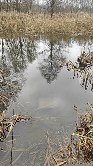 Нажмите на изображение для увеличения.

Название:	IMG20251122125019.jpg
Просмотров:	180
Размер:	586.1 Кб
ID:	4542459