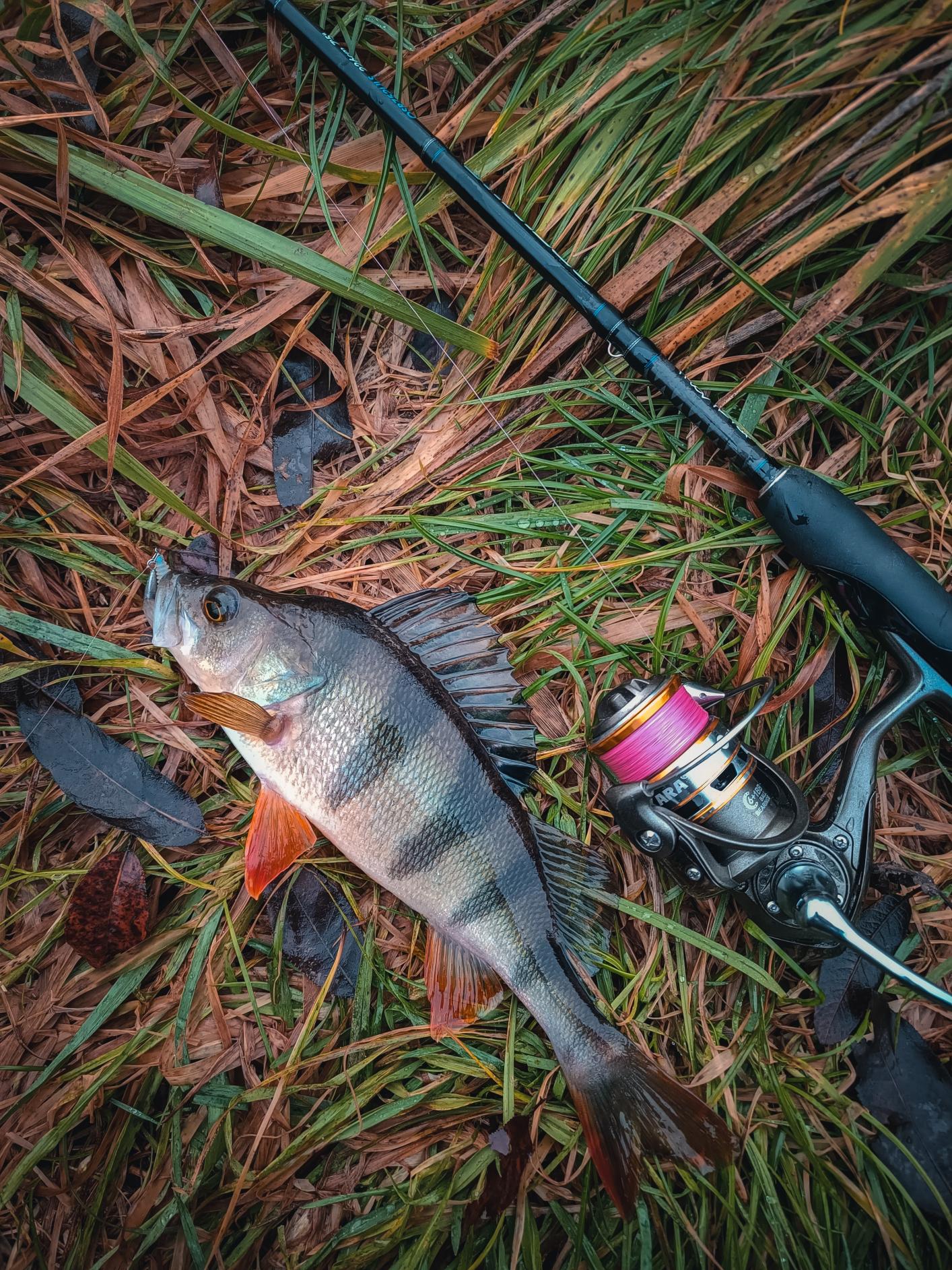 Нажмите на изображение для увеличения.

Название:	IMG_20251121_094100.jpg
Просмотров:	885
Размер:	650.6 Кб
ID:	4542491