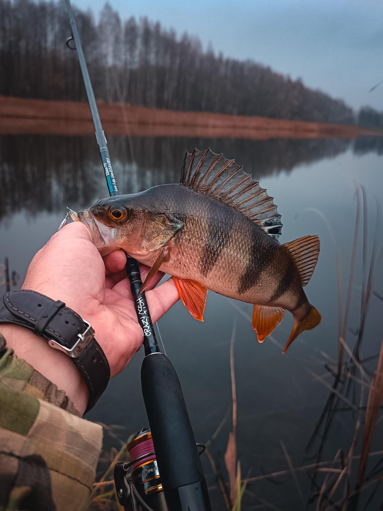 Нажмите на изображение для увеличения.

Название:	IMG_20251121_094033.jpg
Просмотров:	421
Размер:	285.9 Кб
ID:	4542492