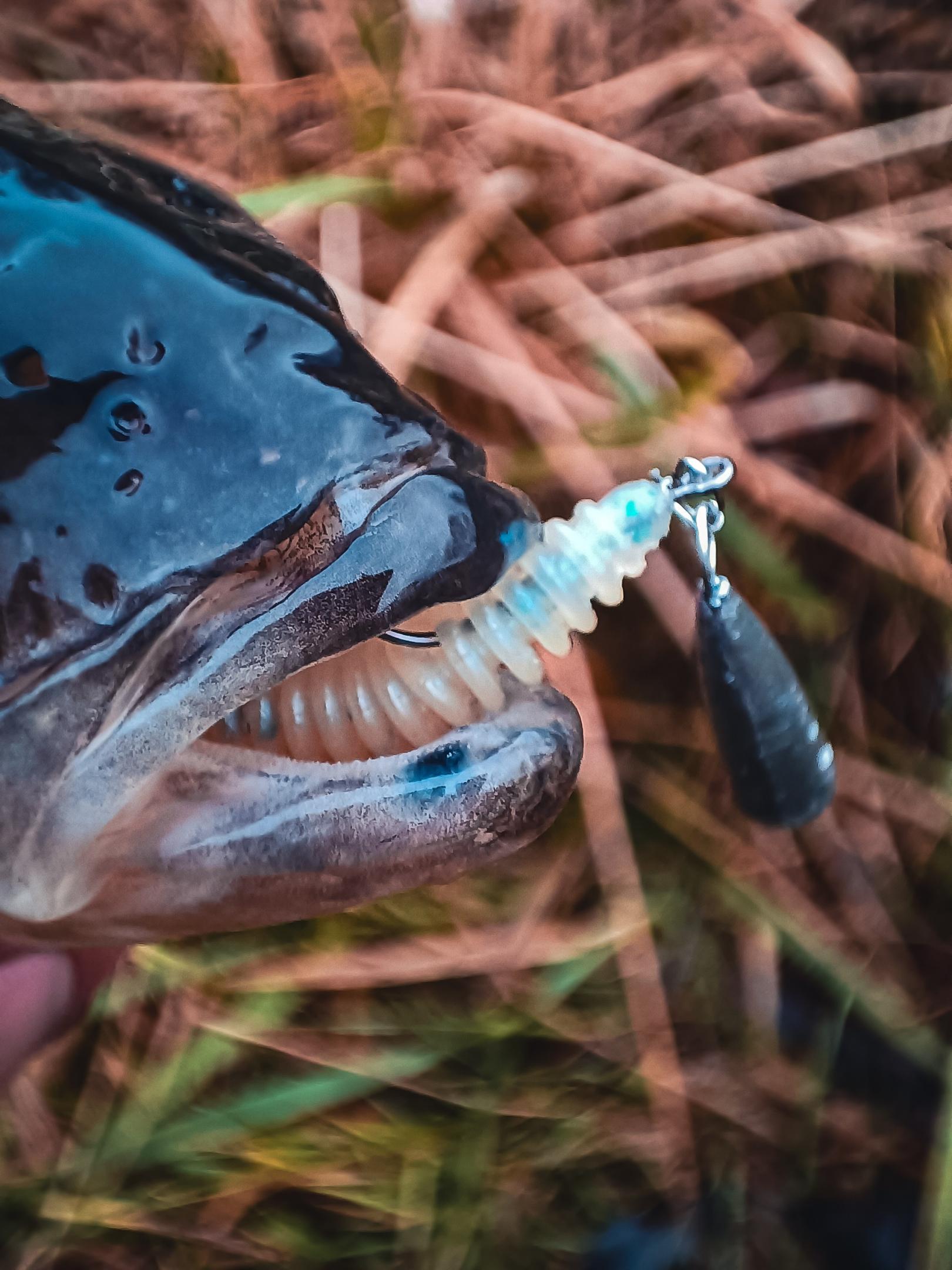 Нажмите на изображение для увеличения.

Название:	IMG_20251121_094205.jpg
Просмотров:	413
Размер:	291.5 Кб
ID:	4542494