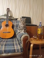 Нажмите на изображение для увеличения.  Название:	IMG-b5a6abfc3153ea8735b048d11b086484-V.jpg Просмотров:	0 Размер:	268.0 Кб ID:	4542522