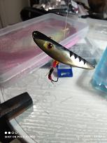 Нажмите на изображение для увеличения.

Название:	IMG_20251124_225303.jpg
Просмотров:	120
Размер:	360.9 Кб
ID:	4542561