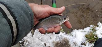 Нажмите на изображение для увеличения.

Название:	IMG_20251125_132011.jpg
Просмотров:	510
Размер:	429.6 Кб
ID:	4542642