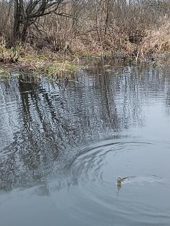 Нажмите на изображение для увеличения.  Название:	IMG_20251127_145617_304.jpg Просмотров:	0 Размер:	632.5 Кб ID:	4542779