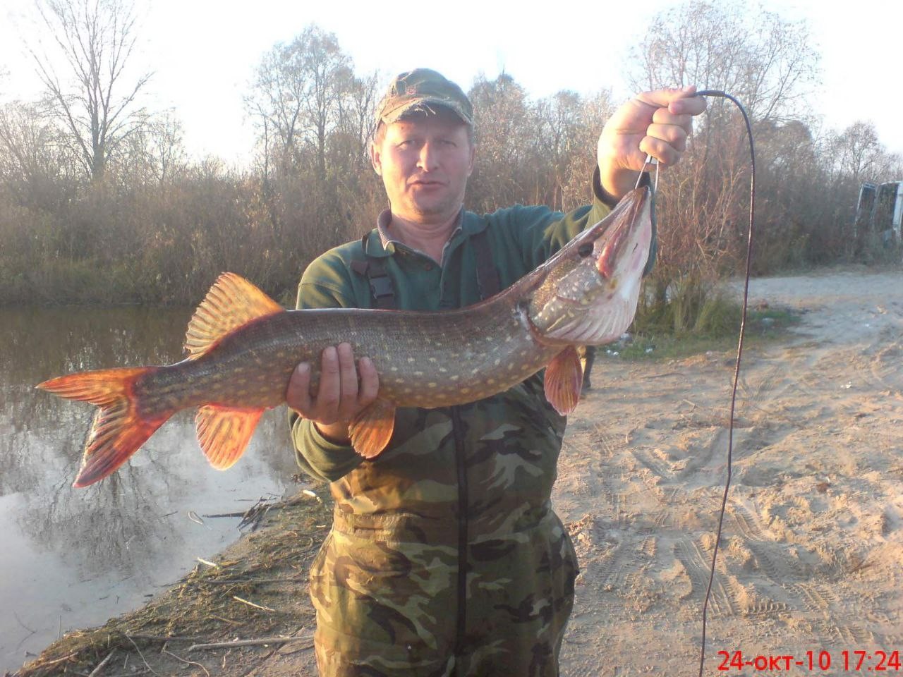 Нажмите на изображение для увеличения.

Название:	photo_2025-11-28_10-31-14.jpg
Просмотров:	26
Размер:	271.5 Кб
ID:	4542863