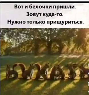 Нажмите на изображение для увеличения.

Название:	589867993_3280574975433435_6397895669603914096_n.jpg
Просмотров:	28
Размер:	45.1 Кб
ID:	4542902