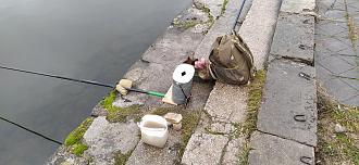 Нажмите на изображение для увеличения.

Название:	IMG_20251201_110342.jpg
Просмотров:	24
Размер:	524.7 Кб
ID:	4543072