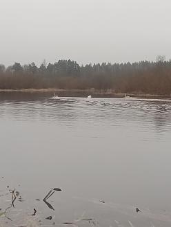 Нажмите на изображение для увеличения.

Название:	IMG_20251203_151435_864.jpg
Просмотров:	45
Размер:	163.3 Кб
ID:	4543174