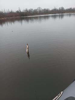 Нажмите на изображение для увеличения.

Название:	IMG_20251203_114946_384.jpg
Просмотров:	49
Размер:	244.1 Кб
ID:	4543177