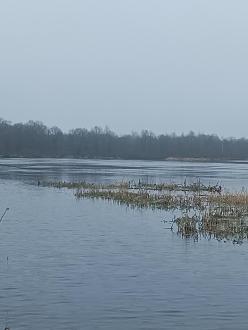 Нажмите на изображение для увеличения.

Название:	IMG_20251203_160511_574.jpg
Просмотров:	41
Размер:	202.3 Кб
ID:	4543178