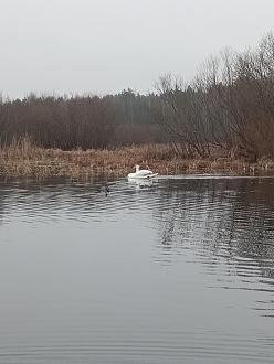 Нажмите на изображение для увеличения.

Название:	IMG_20251203_153052_618.jpg
Просмотров:	43
Размер:	317.2 Кб
ID:	4543181