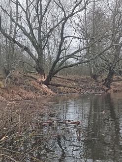 Нажмите на изображение для увеличения.

Название:	IMG_20251203_125740_010.jpg
Просмотров:	49
Размер:	641.2 Кб
ID:	4543182