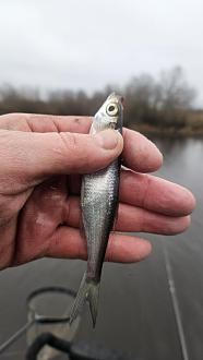 Нажмите на изображение для увеличения.  Название:	20251204_132410.jpg Просмотров:	15 Размер:	186.2 Кб ID:	4543227