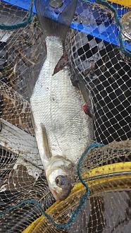 Нажмите на изображение для увеличения.  Название:	20251204_131406.jpg Просмотров:	15 Размер:	450.4 Кб ID:	4543231