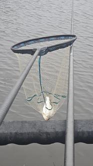 Нажмите на изображение для увеличения.  Название:	20251204_131356.jpg Просмотров:	15 Размер:	234.7 Кб ID:	4543233