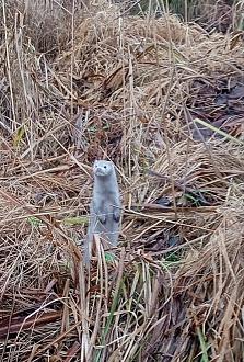 Нажмите на изображение для увеличения.

Название:	IMG_20251205_173533.jpg
Просмотров:	285
Размер:	535.3 Кб
ID:	4543345