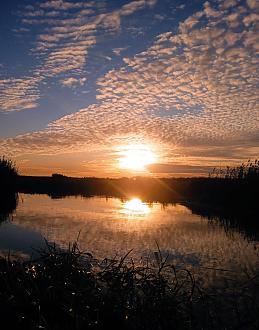 Нажмите на изображение для увеличения.

Название:	IMG_20251205_173207.jpg
Просмотров:	234
Размер:	386.7 Кб
ID:	4543348