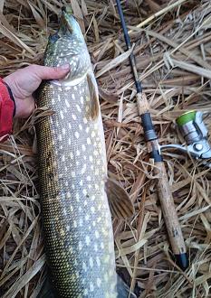 Нажмите на изображение для увеличения.

Название:	IMG_20251205_173340.jpg
Просмотров:	233
Размер:	448.7 Кб
ID:	4543349