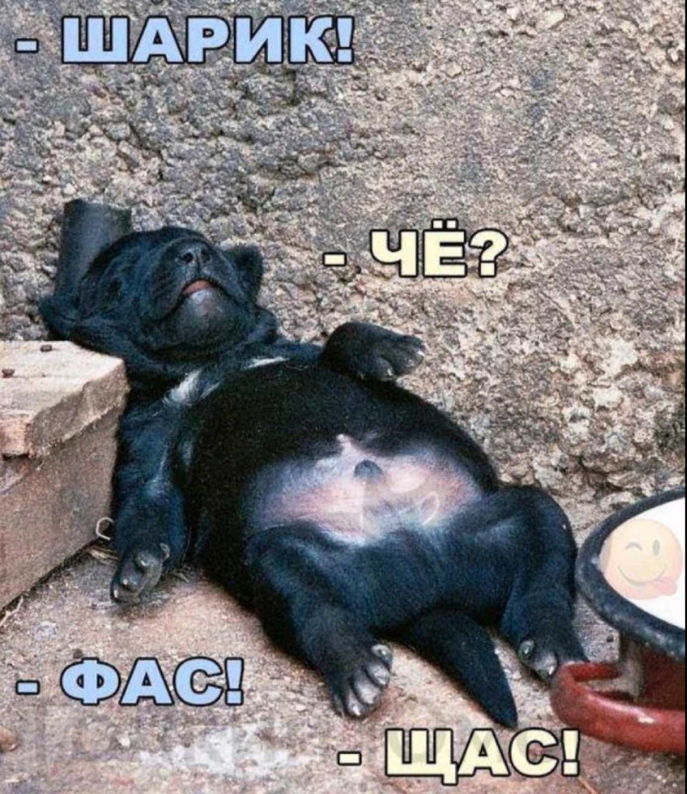 Нажмите на изображение для увеличения.

Название:	изображение_viber_2025-12-07_12-13-30-631.jpg
Просмотров:	116
Размер:	427.5 Кб
ID:	4543453