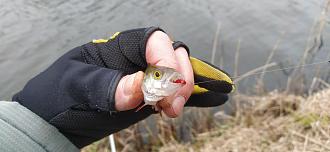 Нажмите на изображение для увеличения.

Название:	IMG_20251207_132904.jpg
Просмотров:	586
Размер:	394.1 Кб
ID:	4543526