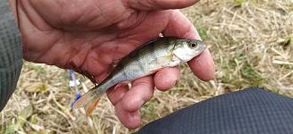 Нажмите на изображение для увеличения.

Название:	IMG_20251207_124549.jpg
Просмотров:	591
Размер:	420.6 Кб
ID:	4543529