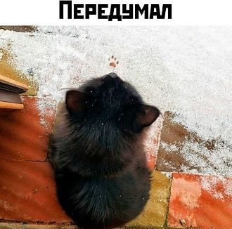 Нажмите на изображение для увеличения.

Название:	11zon_cropped (12).jpeg
Просмотров:	291
Размер:	93.3 Кб
ID:	4543557