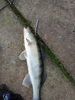 Нажмите на изображение для увеличения.

Название:	IMG20251207102432.jpg
Просмотров:	185
Размер:	716.5 Кб
ID:	4543602