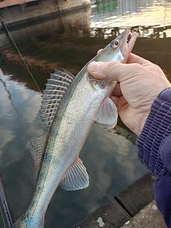 Нажмите на изображение для увеличения.

Название:	IMG20251204145838.jpg
Просмотров:	151
Размер:	393.1 Кб
ID:	4543603