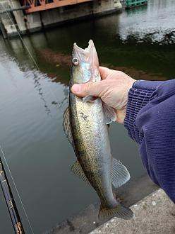 Нажмите на изображение для увеличения.

Название:	IMG20251203125917.jpg
Просмотров:	147
Размер:	317.7 Кб
ID:	4543605