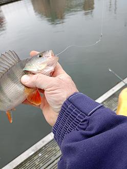 Нажмите на изображение для увеличения.

Название:	IMG20251130110001.jpg
Просмотров:	155
Размер:	346.1 Кб
ID:	4543606