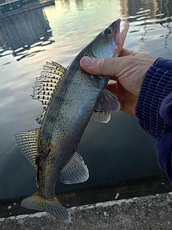 Нажмите на изображение для увеличения.

Название:	IMG20251101080149.jpg
Просмотров:	147
Размер:	374.9 Кб
ID:	4543607