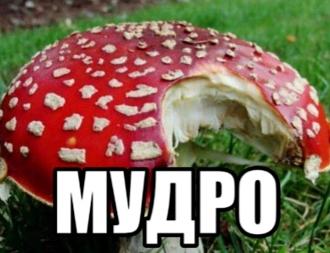 Нажмите на изображение для увеличения.

Название:	168821977123038295.jpg
Просмотров:	23
Размер:	77.3 Кб
ID:	4543614