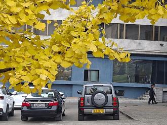 Нажмите на изображение для увеличения.

Название:	FB_IMG_1765263714121.jpg
Просмотров:	4
Размер:	133.3 Кб
ID:	4543627