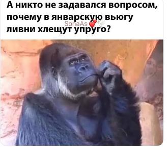 Нажмите на изображение для увеличения.  Название:	597100596_1836364747022832_8067891444823265147_n.jpg Просмотров:	19 Размер:	49.1 Кб ID:	4543674