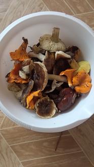 Нажмите на изображение для увеличения.

Название:	IMG-78b622b7494d530f4d529533893bea3b-V.jpg
Просмотров:	123
Размер:	170.8 Кб
ID:	4543722