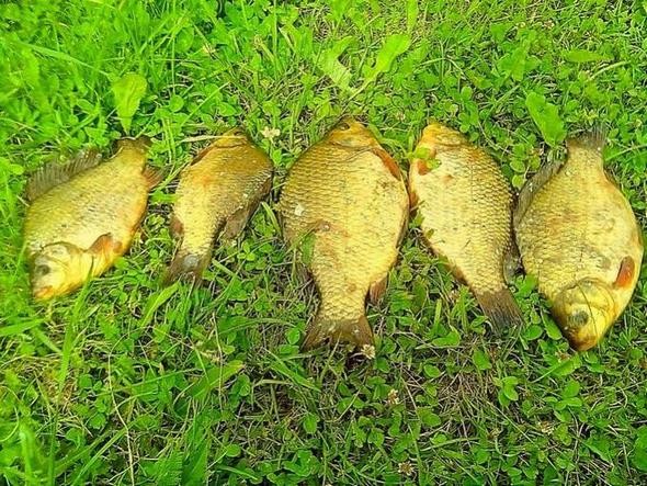 Нажмите на изображение для увеличения.

Название:	image_358811.jpg
Просмотров:	98
Размер:	138.4 Кб
ID:	4543914