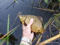 Нажмите на изображение для увеличения.

Название:	IMG-66b6d1e96b9f8002bc587a4ffc6722d3-V.jpg
Просмотров:	106
Размер:	481.7 Кб
ID:	4543916