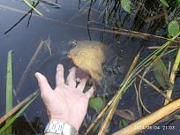 Нажмите на изображение для увеличения.

Название:	IMG-10293fac6b76bc8ce53acb888bfd8f48-V.jpg
Просмотров:	94
Размер:	443.4 Кб
ID:	4543917