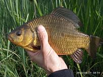 Нажмите на изображение для увеличения.

Название:	IMG-ed6ffdf102025d674db27ce617560ed4-V.jpg
Просмотров:	93
Размер:	612.9 Кб
ID:	4543918