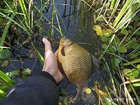 Нажмите на изображение для увеличения.

Название:	IMG-06df3157e1a3df85e019a19fa821fabc-V.jpg
Просмотров:	93
Размер:	664.7 Кб
ID:	4543919